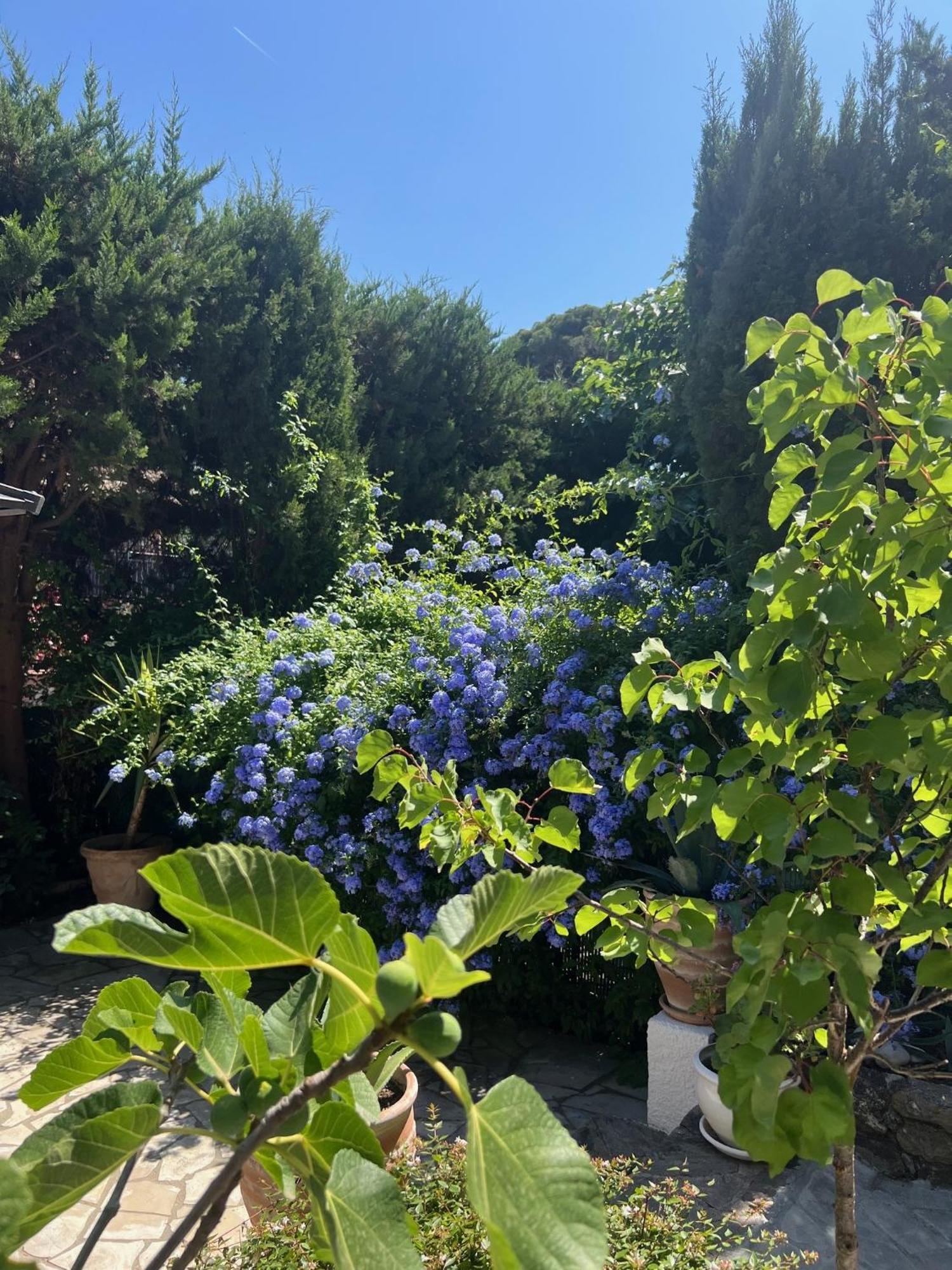 Superbe Appartement Avec Terrasse Jardin Et Parking Prive Saint-Tropez Esterno foto